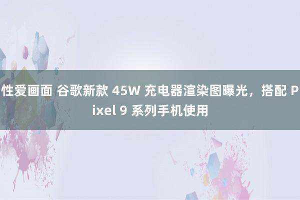 性爱画面 谷歌新款 45W 充电器渲染图曝光，搭配 Pixel 9 系列手机使用