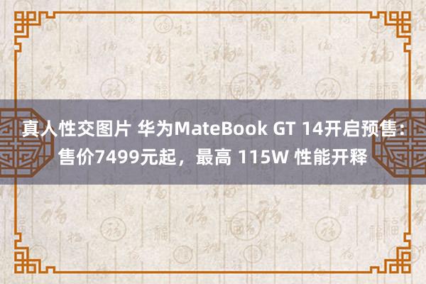 真人性交图片 华为MateBook GT 14开启预售：售价7499元起，最高 115W 性能开释