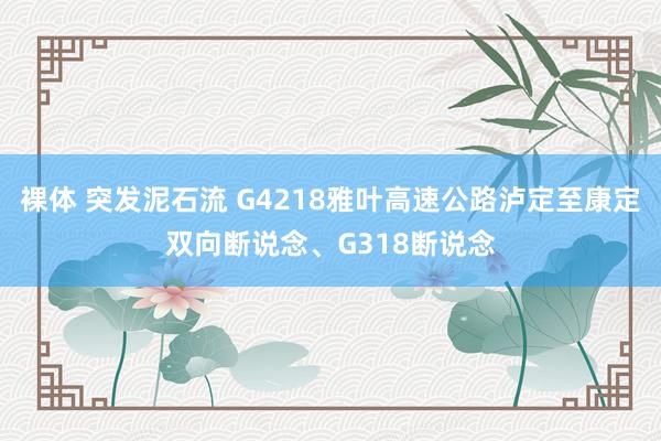 裸体 突发泥石流 G4218雅叶高速公路泸定至康定双向断说念、G318断说念