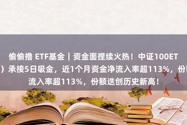 偷偷撸 ETF基金｜资金面捏续火热！中证100ETF基金（562000）承接5日吸金，近1个月资金净流入率超113%，份额迭创历史新高！