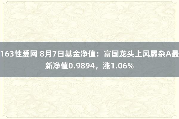 163性爱网 8月7日基金净值：富国龙头上风羼杂A最新净值0.9894，涨1.06%