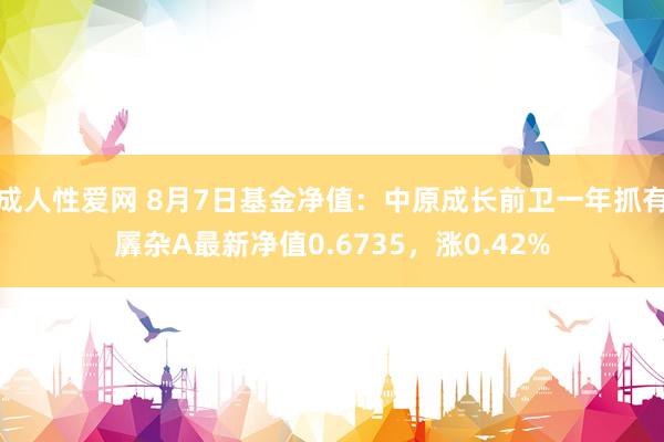 成人性爱网 8月7日基金净值：中原成长前卫一年抓有羼杂A最新净值0.6735，涨0.42%