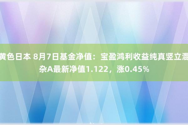 黄色日本 8月7日基金净值：宝盈鸿利收益纯真竖立混杂A最新净值1.122，涨0.45%