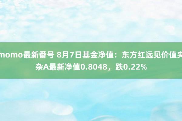 momo最新番号 8月7日基金净值：东方红远见价值夹杂A最新净值0.8048，跌0.22%