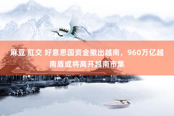 麻豆 肛交 好意思国资金撤出越南，960万亿越南盾或将离开越南市集