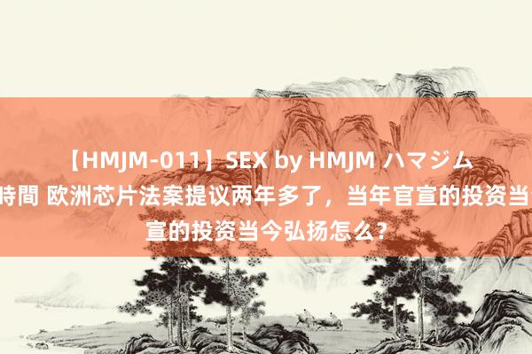 【HMJM-011】SEX by HMJM ハマジムベスト09 6時間 欧洲芯片法案提议两年多了，当年官宣的投资当今弘扬怎么？