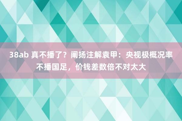 38ab 真不播了？阐扬注解袁甲：央视极概况率不播国足，价钱差数倍不对太大