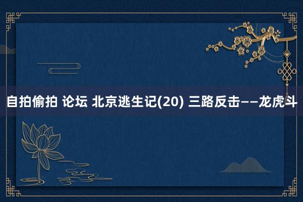 自拍偷拍 论坛 北京逃生记(20) 三路反击——龙虎斗