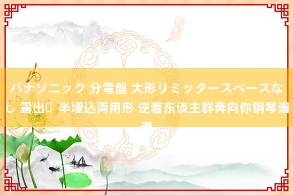 パナソニック 分電盤 大形リミッタースペースなし 露出・半埋込両用形 逆着东谈主群奔向你钢琴谱