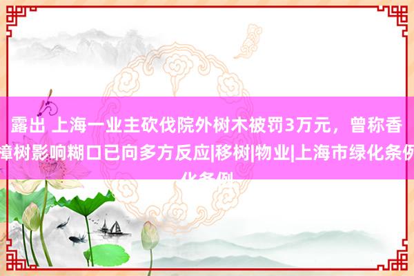 露出 上海一业主砍伐院外树木被罚3万元，曾称香樟树影响糊口已向多方反应|移树|物业|上海市绿化条例