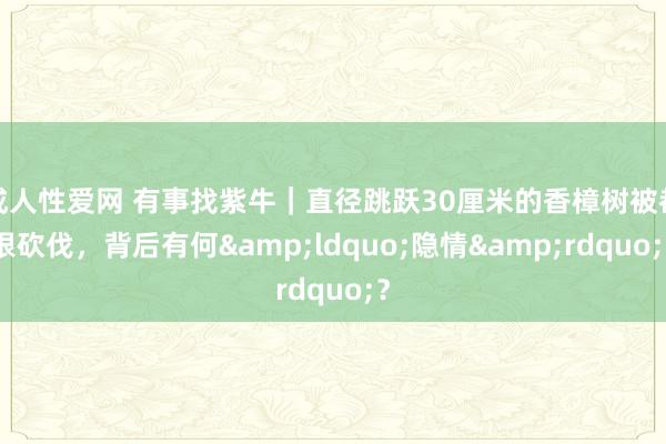 成人性爱网 有事找紫牛｜直径跳跃30厘米的香樟树被都根砍伐，背后有何&ldquo;隐情&rdquo;？