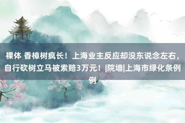 裸体 香樟树疯长！上海业主反应却没东说念左右，自行砍树立马被索赔3万元！|院墙|上海市绿化条例