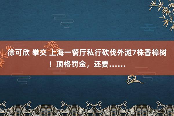 徐可欣 拳交 上海一餐厅私行砍伐外滩7株香樟树！顶格罚金，还要……